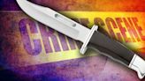 Man pulls knife in armed robbery