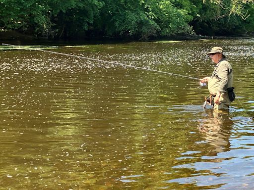 Anglers given safety guidance over polluted water