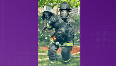 DC firefighter rescues dog from burning home in Northeast