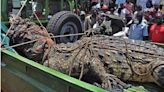 14年襲殺10％村民 烏干達「5米鱷魔」落網變種鱷…當局曝最後下場