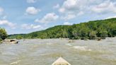Great Falls + Stumpy Pond is good SC day trip for whitewater rafting, gator-free kayaking