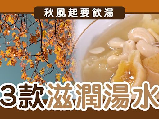 青紅蘿蔔湯、海底椰雞湯、雪梨雪耳瘦肉湯 3款秋冬滋潤湯水食譜 | am730