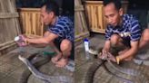 Watch: Man Gives Shampoo Bath To King Cobra - News18