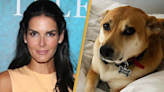 Angie Harmon sues Instacart delivery driver who shot and killed her dog