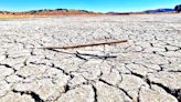 Más de 137 mil hectáreas de cultivo fueron afectadas por eventos climáticos; prevén plan de contingencia