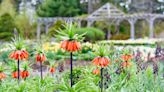 Coastal Maine Botanical Gardens opens for the season