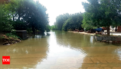 Haryana polls: Waterlogged crops, roads bring misery in Manu Bhaker’s village - Times of India