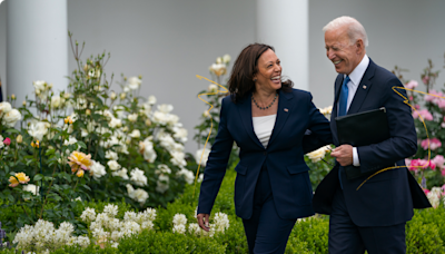 Kamala Harris supera Donald Trump em pesquisa de intenção de votos para presidência dos EUA