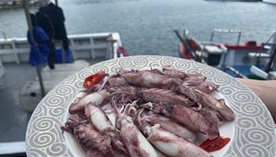每到夏天就要吃小卷 尚青的小卷在深澳漁港 | 蕃新聞