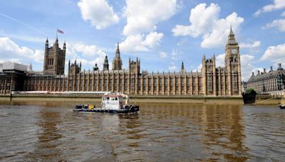 New Parliament ‘most diverse in UK’s history’, according to election analsysis