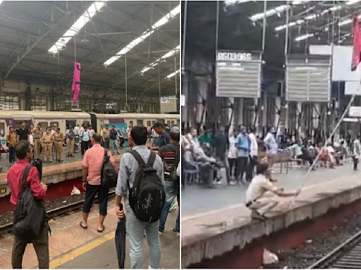 Mumbai News: Local Train Services At Churchgate Station Disrupted After Kid Throws Jacket On Overhead Wire; VIDEO Surfaces