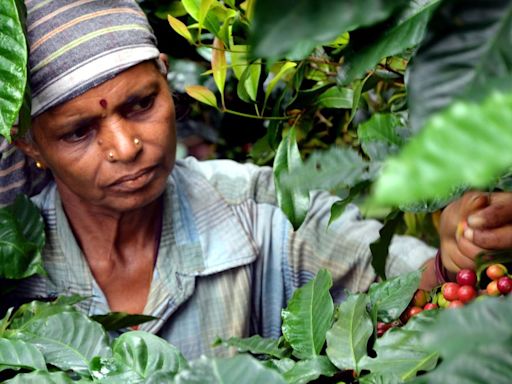 A new roastery in Chennai champions Tamil Nadu coffee