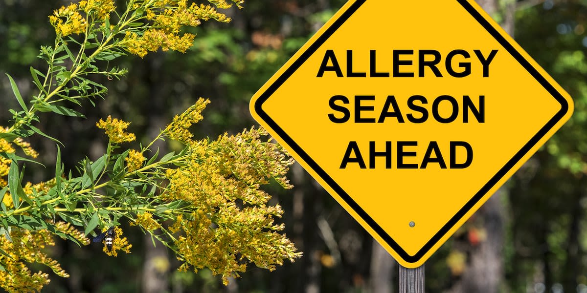 With the warmer weather, comes seasonal allergies - ways to help protect you and your family