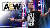 WWE's CM Punk Addresses AEW Releasing All In Backstage Altercation Footage
