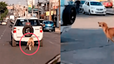 ¡Desgarrador! Perrito sufre cruel abandono en la calle y corre desesperado para alcanzar el auto de su dueña