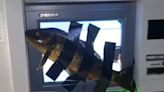 ‘Fish are complex’: PETA writes Provo School District with animal empathy guides after teen tapes fish to ATMs