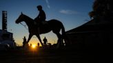 Belmont Stakes 2023 predictions, odds, best bets: Expert picks for win, place, show, trifecta, superfecta