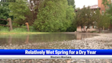 Relatively wet spring despite dry year in western Montana