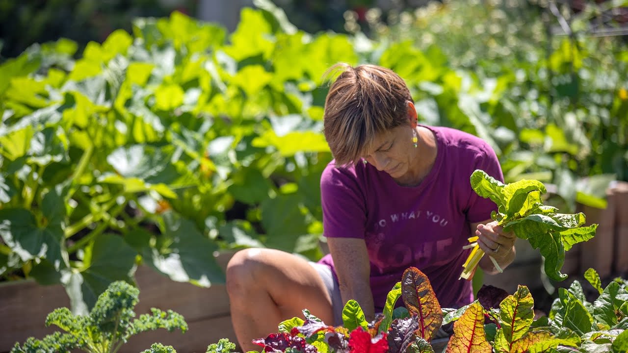 How To Plant a Cheap Garden, According to Gardeners