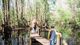Florida beyond beaches and theme parks: Try these 10 state parks