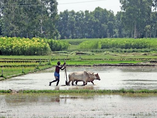 Budget 2024 signals rigour in farm policymaking, govt openness to align with states on reforms