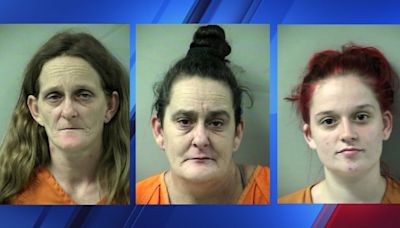 3 women charged with animal cruelty after deputies found 41 animals ‘severely mistreated’, sheriff says