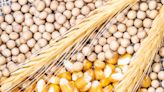 Brazil Executive Order Pushes Soybean, Corn Prices Higher