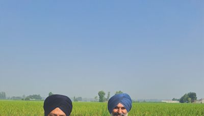 Can a variety of rice address farm fires in Punjab & Haryana?