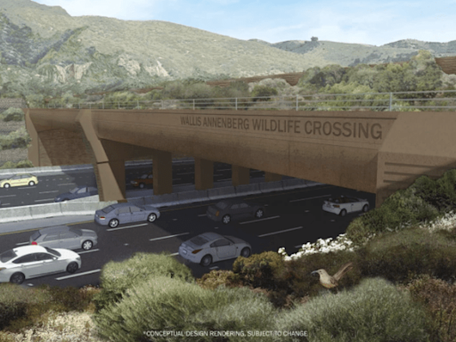 101 Freeway wildlife crossing on track to open by early 2026, Newsom says