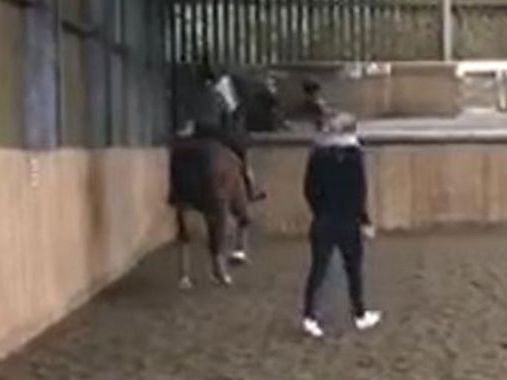 Video shows British Olympian Charlotte Dujardin whipping horse in training session