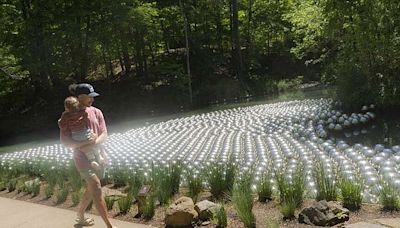 Crystal Bridges Museum of American Art in Bentonville scores accreditation for arboretum | Northwest Arkansas Democrat-Gazette