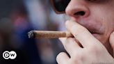 German cannabis clubs face jungle of bureaucracy – DW – 07/03/2024