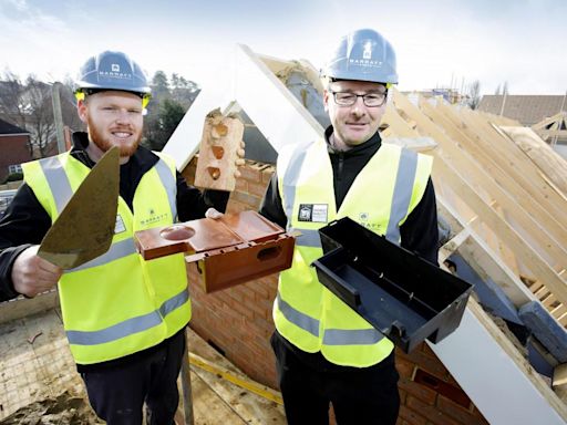 More than 200 bird boxes and swift bricks to be installed in new housing developments