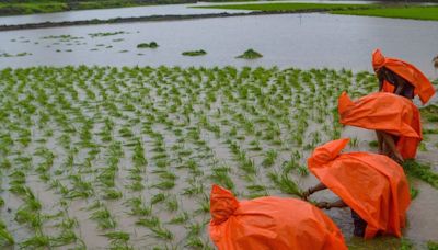 Warmest June In 123 Years, But Good News On Monsoon Front For Farmers In July - News18
