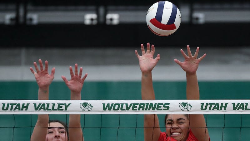 High school girls volleyball: 2024 5A team-by-team region capsules, predictions