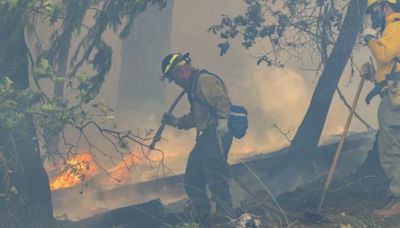 Evacuación por Incendios en California: Medidas de Prevención y Protección