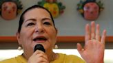 Guadalupe Taddei advierte que elección de jueces y magistrados podría costar lo mismo que una elección presidencial