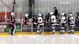 Despite Hockey N.L. ban, some teams have kept post-game handshakes