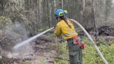 6 holdover fires burn in Wood Buffalo National Park