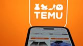 中國電商Temu遭到歐洲消費者組織抨擊