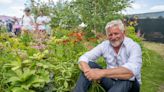 Chelsea Flower Show ‘risks dumbing down with make-good-and-mend attitude’