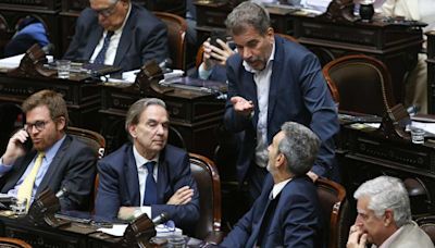 Miguel Ángel Pichetto sumará aliados en Diputados y tendrá más poder