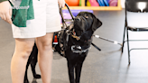 UT students raise money for nonprofit that gives service dogs to veterans