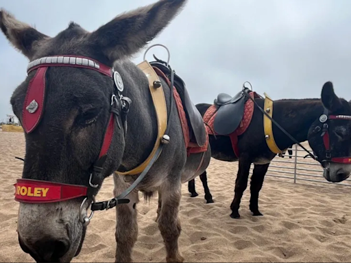 Skegness traders say sunshine is 'saving' summer