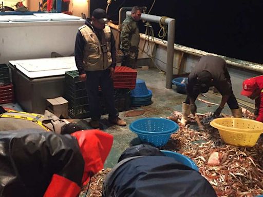 Informa UNODC sobre infiltración del crimen organizado en pesquerías y tráfico de Totoaba