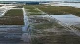 Brazil drops rice tariffs after flooding hits key farming region