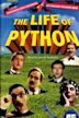 Python Night: 30 Years of Monty Python