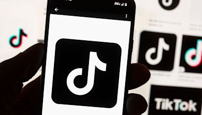 Instagram, YouTube the biggest likely winners of TikTok ban but smaller rivals could rise too