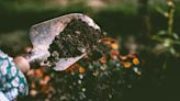 Ask a Master Gardener: Why you should test garden soils - Addison Independent