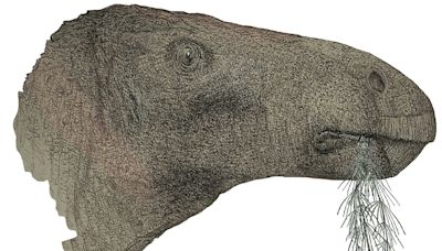 Dino-mite discovery! New species of dinosaur found on Isle of Wight